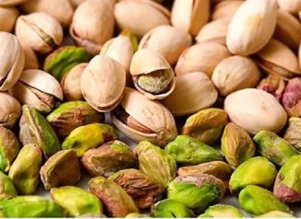 قیمت خرید پسته اکبری کرمان + تست کیفیت