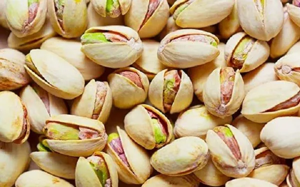 قیمت خرید پسته اکبری کرمان + تست کیفیت